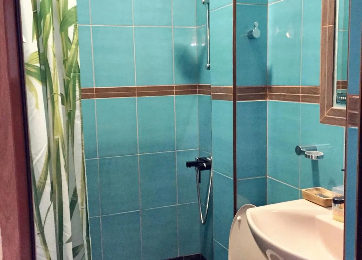 Spacious House In Central Sofia With Garden